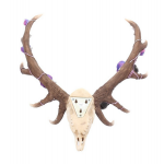 Wall plaque Antlers of Eden Stag Horns